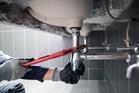 Secretary of Education Linda McMahon calls for elementary students to be put on ‘pathway’ to become plumbers