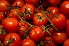 Sainsbury’s strikes deal with British salad producers to tackle food shortage fears