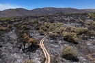 Europe is on fire - will the continent’s climate change deniers finally wake up?
