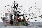 NOAA report finds Gulf of Maine warming slowed for now, but ecosystem remains unstable