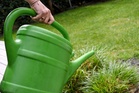 Gardening experts share 10 ways to save your plants during a hosepipe ban