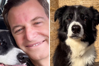 Matt Baker pays tribute to dog Bob as the ‘ultimate companion’ in touching montage