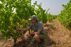 Wildfires near Bordeaux bring more troubles to France's wine industry