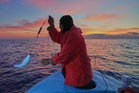 The Mediterranean's warming waters are drawing hundreds of invasive species