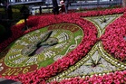‘Magnificent’ annual floral clock unveiled to benefit gardening charity