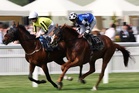 Friday racing tips: Best bets and odds on Glorious Goodwood day four