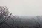 Suffolk wildfire: Smouldering aftermath captured on camera as blaze continues to spread