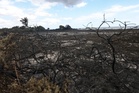 Reform council condemned for scrapping green pledges in wildfire-ravaged Suffolk