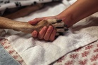 Oregon vet sues AI company saying misdiagnosis of cancer tumor led to 11-year-old dog’s death