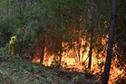 France's forest management may need to change to prevent more wildfires in Les Landes