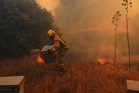 UN, scientists warn that strong El Nino will add fuel to 'a planet already on fire'