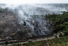 Crews reduce appliances at Suffolk wildfire as National Trust launch fundraiser