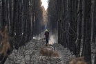 French wildfire near Bordeaux contained as 1,500 firefighters battle separate blaze in Provence
