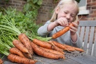 Vegetables are now half as nutritious than 60 years ago. Experts have worked out why