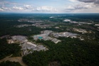Five Amazon countries arrest hundreds in major crackdown on environmental crime