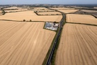 ‘Brutal’ harvest could be worst on record because of extreme summer – analysis