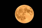 SpaceX rocket moon collision sparks warning over ‘lunar litter’ - and it’ll only get worse