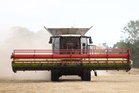 UK jobseekers face least competition for roles in farming and agriculture
