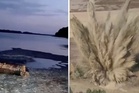 Gigantic WW2 bomb detonated in Slovakia after surfacing in Danube River