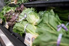 FDA names major brands hit by massive lettuce recall over parasite