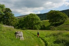 Tourist tax proposed for popular UK destination – here’s why