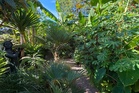 How to create an exotic garden that will survive the extreme heat