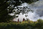 New Forest fire: Emergency services fight to contain blaze at popular National Park
