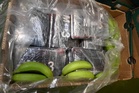 Tonnes of cocaine worth more than £200m found inside banana boxes at British port