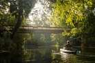 Swimmer tried to fight off alligator during attack in Florida’s idyllic springs