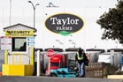 Experts say Taylor Farms can survive deadly ‘explosive diarrhea’ outbreak ... but it’s tricky