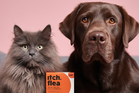 Flea season is here – how to protect your pet this summer, according to a vet