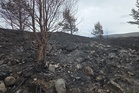 Public told to use ‘extreme caution’ as wildfire warning issued for Scotland