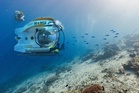 ‘Safer than flying’: Deep-sea legend says Titan sub disaster was an anomaly and ocean exploring can save the planet
