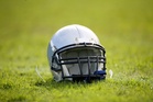 Venomous snake found in student’s helmet after he felt unusual movement in headgear