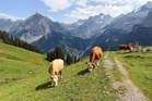 Swiss village could disappear forever amid landslide threat