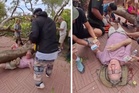 Thai locals rescue Spanish tourists trapped under fallen tree in freak accident