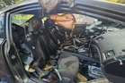 Warning to drivers after black bear found dead inside US car