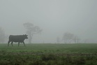 Case of BSE in cow confirmed on Scottish farm