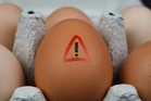 UK salmonella cases rise once again – what we know