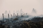 EU plans new firefighting fleet after deadly summer heat wave