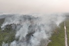 Indonesia police arrest 72 people suspected of starting forest and peatland fires