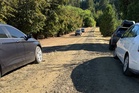 Five people found dead at rural home in Oregon in suspected mass homicide