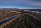 A lush knee-high jungle grows in the Arctic, but warming is changing Earth's mini-greenhouse