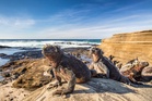 I took my family on a Galapagos Islands cruise and it changed how I feel about wildlife