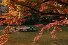Where to see America’s best fall foliage this year