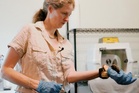 Could bats be an ally in the fight against cancer? New study uncovers secrets of their unique genetics