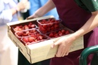 Record-breaking heatwaves lead to bumper berry crops after summer of wildfires and water shortages