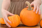 Farmers warn a popular Halloween tradition may be on hold this year