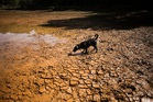 Minister urges Britons to stock up on food and water after El Nino extreme weather warning
