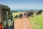 Popular UK travel company suspends all holidays ‘until further notice’